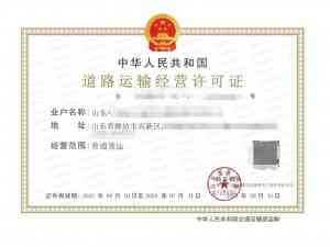 潍坊卫生许可证服务哪家强？潍坊龙顶企业服务有限公司实力登场！
