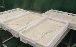 2025年10月老豆腐生产线及豆腐机市场全景解析报告，基于专业测评的技术、性能及市场优势深度分析！