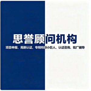 2025年深圳市思誉企业管理顾问有限公司服务全景解析报告，基于专业实力的认证服务深度分析