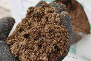 2025年泥炭土及相关产品优质供应商推荐：寿光市绿田国际商贸有限公司深度解析