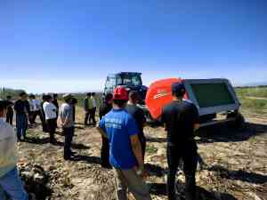 2025年新疆残膜回收机市场深度解析：聚焦新疆北农机械设备有限公司的产品优势