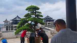 湘潭精密仪器设备吊装服务商TOP3推荐：力丰搬家装卸深度解析