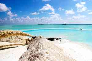 2025年10月青州环保清淤装备品牌解析报告：青州永生环保清淤装备有限公司技术、产品及市场优势深度分析！