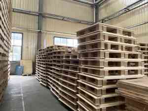 2025年山东仓储木托盘厂家推荐：山东国泰民沣包装科技有限公司专利技术、品质管控及产品应用深度解析