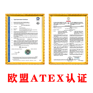 天津ATEX认证渠道TOP4厂家深度解析：专业技术与服务双优之选