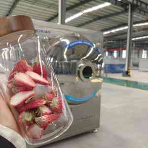 2025年冻干机厂家最新推荐：聚焦山东互川智能装备有限公司专利技术、品质管控及客户合作案例的深度解析