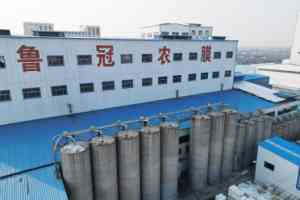 国产七层共挤设备订做厂家TOP3权威推荐：技术与口碑双优之选