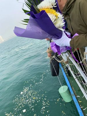 纪念云平台界面