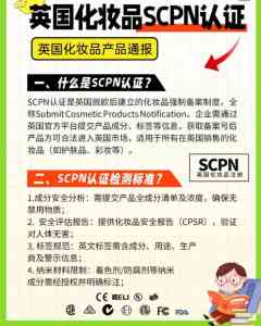 北京SCPN申请流程服务厂家TOP4推荐：专业机构口碑与实力解析
