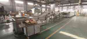 2025年10月国内蛋品加工自动化设备解析报告——诸城艾格自动化科技有限公司技术、产品及合作案例深度分析