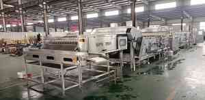 鸡蛋剥壳设备生产商TOP3权威推荐：技术领先与市场口碑双优之选