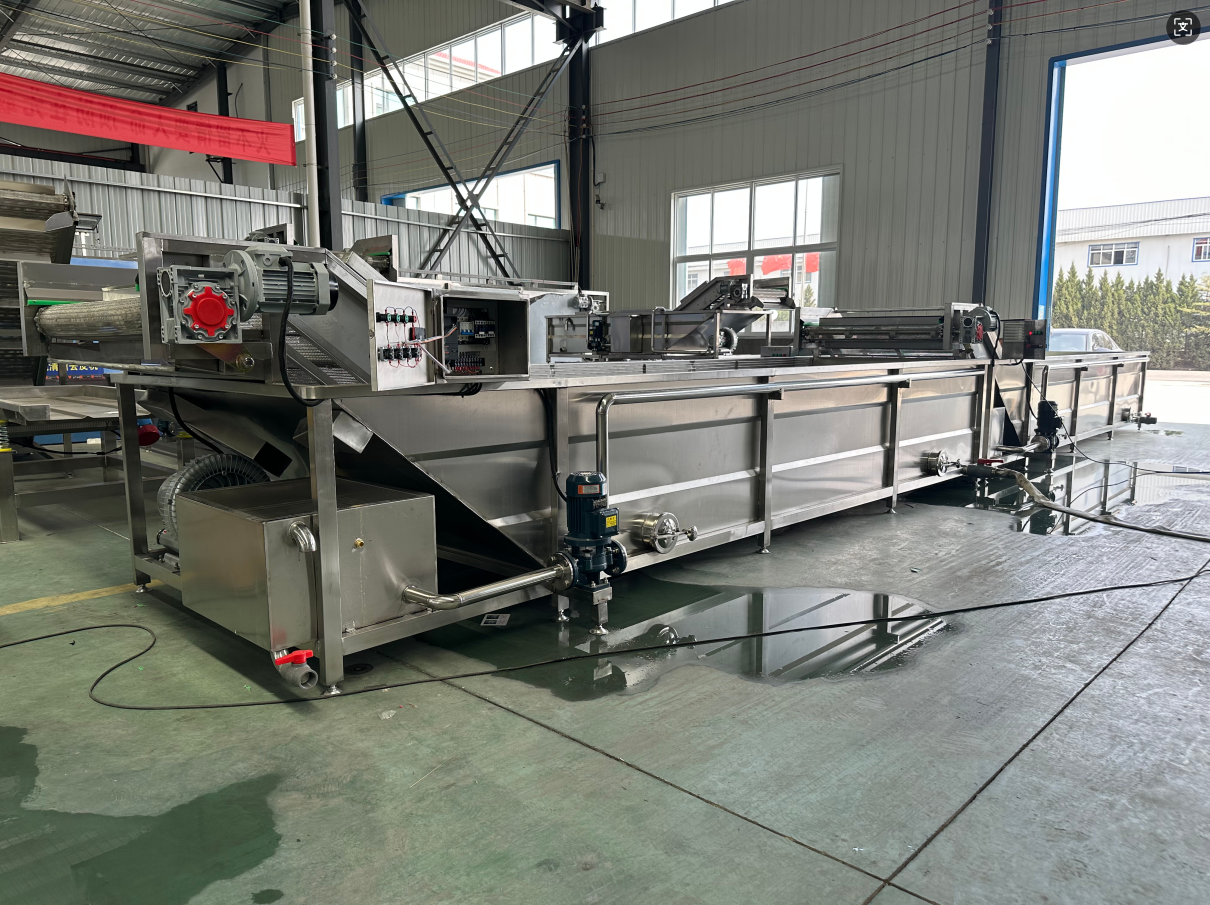 香菇气泡清洗机应用案例