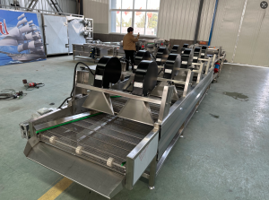 权威推荐：海鲜气泡清洗机优质厂家TOP4深度解析与口碑之选