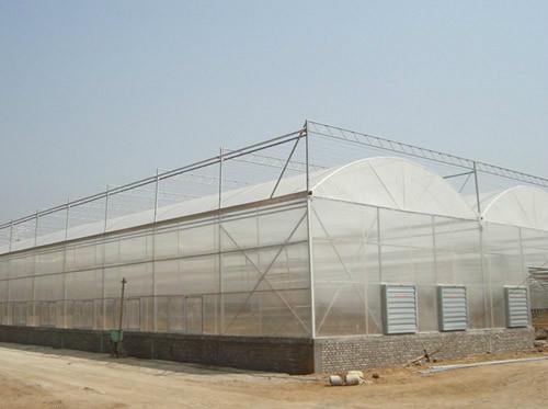 山东柏科阿姆农业科技开发有限公司薄膜温室产品
