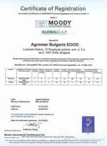 石家庄GAP认证机构TOP4权威推荐：专业服务与口碑机构深度解析