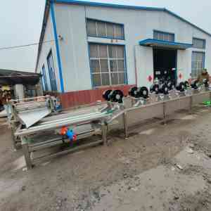 2025年10月山东诸城食品清洗机厂家全景解析报告：诸城市佳品食品机械专业设备技术、性能及应用优势深度分析！