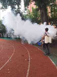 自贡高效除跳蚤公司哪家强？德阳除跳蚤服务·泸州灭杀跳蚤渠道选成都仁民