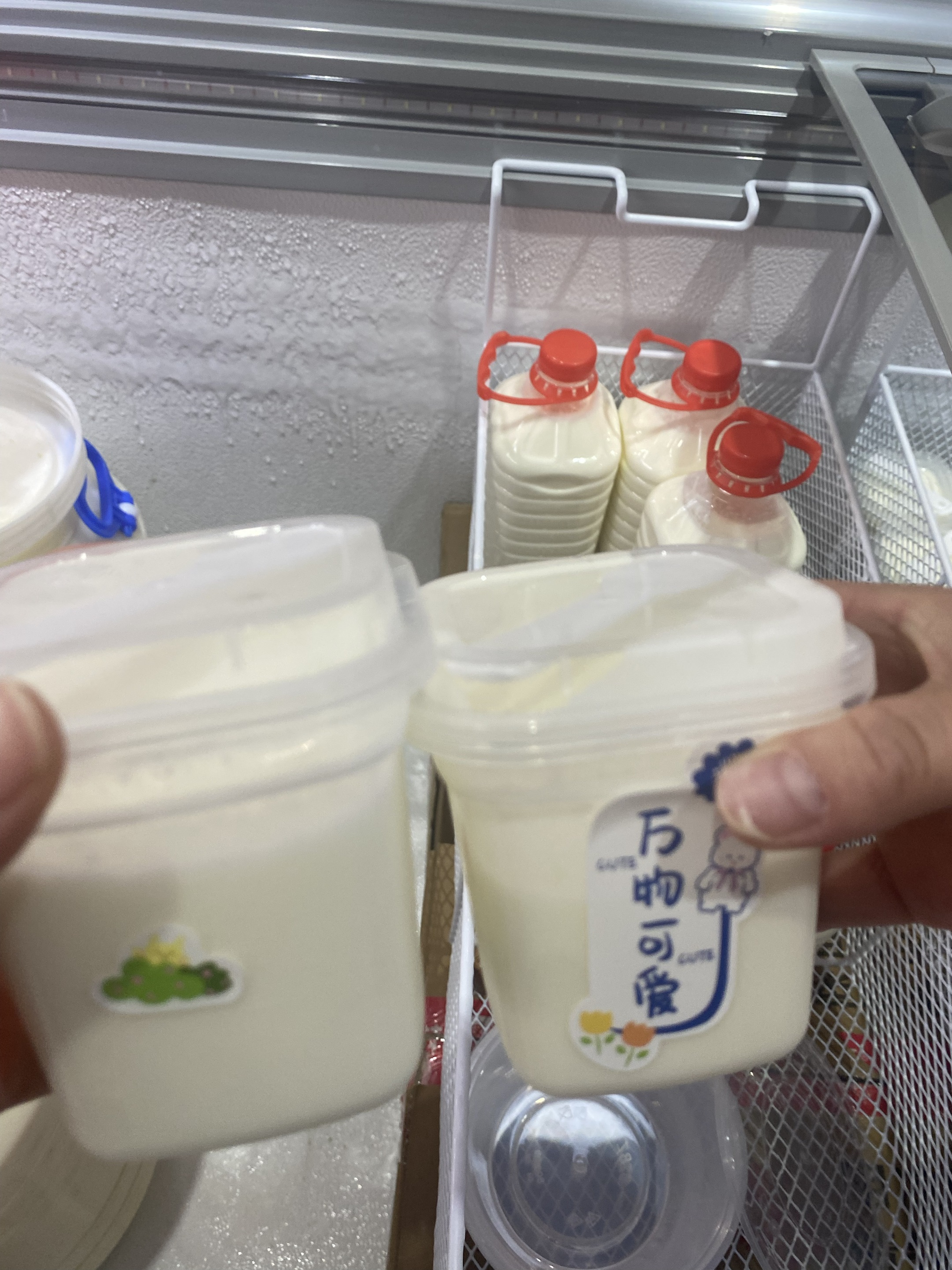 老酸奶服务相关图