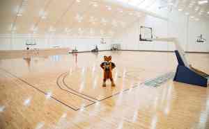 2025年体育篷房厂家最新推荐：常州市环宇篷房制造有限公司聚焦企业实力、产品特点及客户案例的专业解析