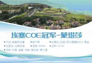 深度盘点：烘焙咖啡豆厂商TOP3权威推荐，品质与市场口碑双优之选