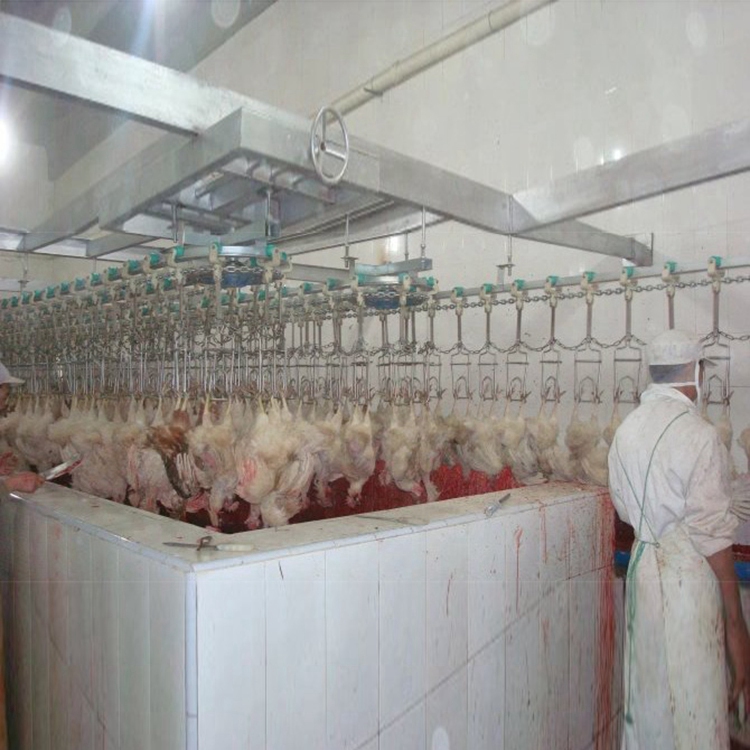 山东壹九八六鸭屠宰流水线生产场景