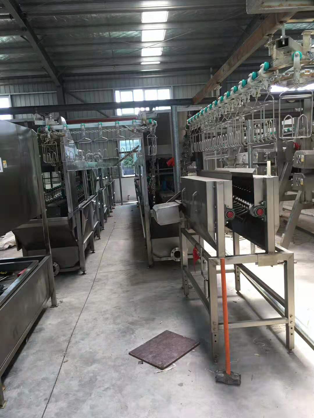 山东壹九八六鹅屠宰流水线细节展示