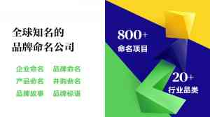 品牌包装设计管理领域TOP3解析：上海朗标企业管理咨询有限公司领跑优势揭秘