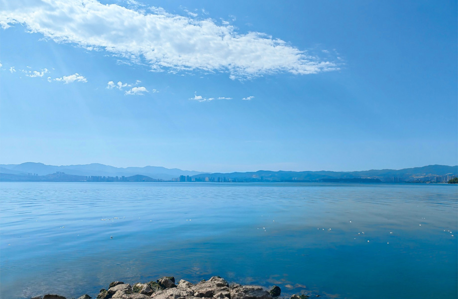 导游与游客互动场景