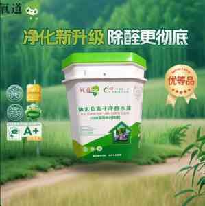 深度解析：北京地区口碑突出的甲醛杀手公司TOP4中氧道纳米科技郑州分公司实力揭秘
