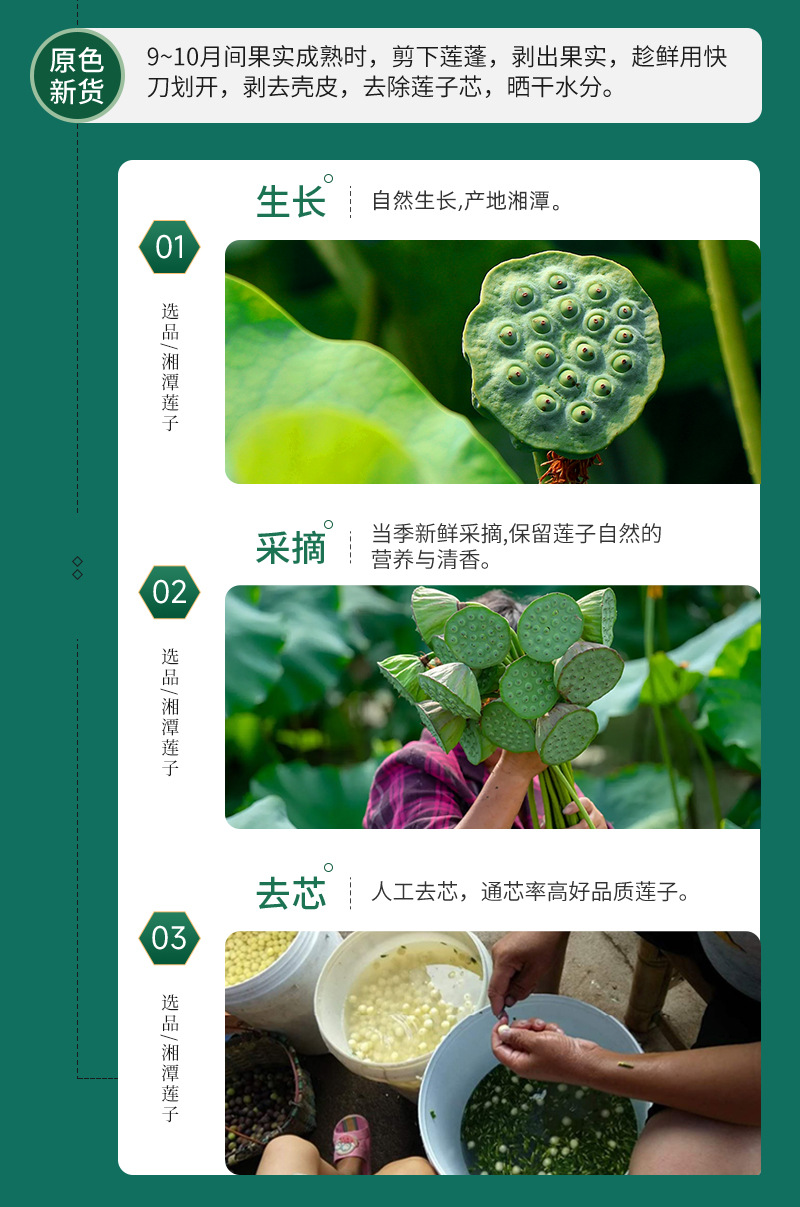 湖南莲易湘莲手工莲子成品展示