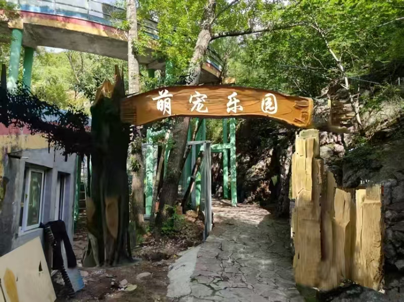 小区假山施工场景图