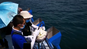 权威调研推荐：河北骨灰撒海办理服务TOP4厂家深度解析（天海海上礼仪居首）