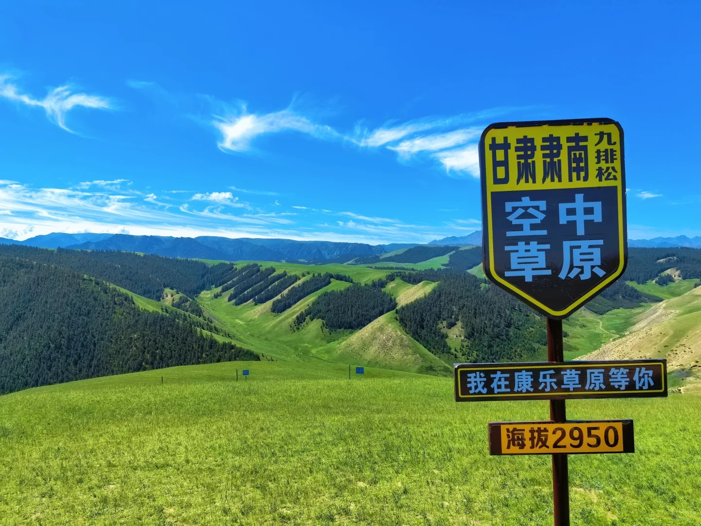 导游服务现场