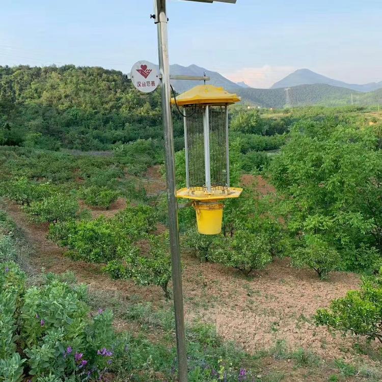 宝迪照明杀虫灯应用场景
