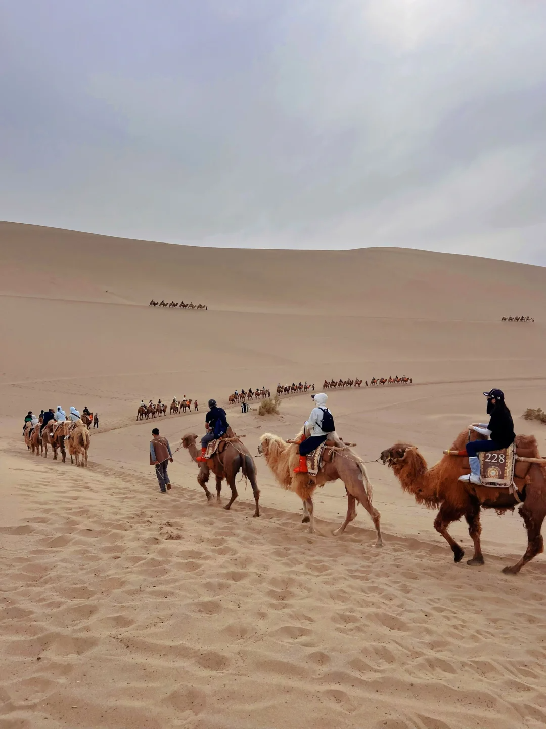 旅游服务流程图