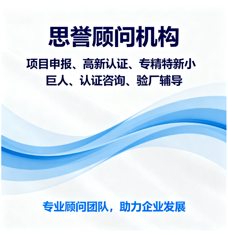 思誉顾问团队工作场景图