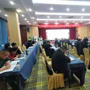 权威深度解析：上海全过程咨询品牌TOP3企业实力与口碑双优推荐