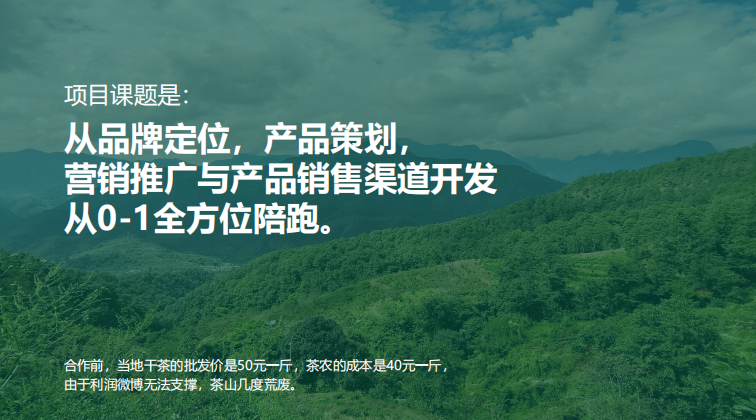 海南印象数字营销团队工作场景