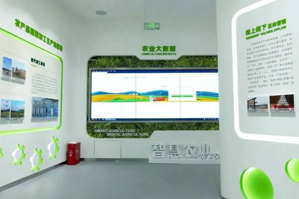 博达至成生态展馆设计团队工作场景