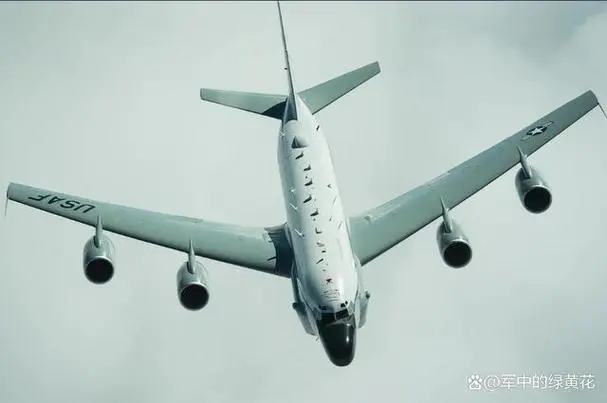 威洋国际供应链操作现场