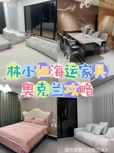 深圳网红家具新西兰物流优选指南：TOP4厂家深度解析（首推广州胜航）