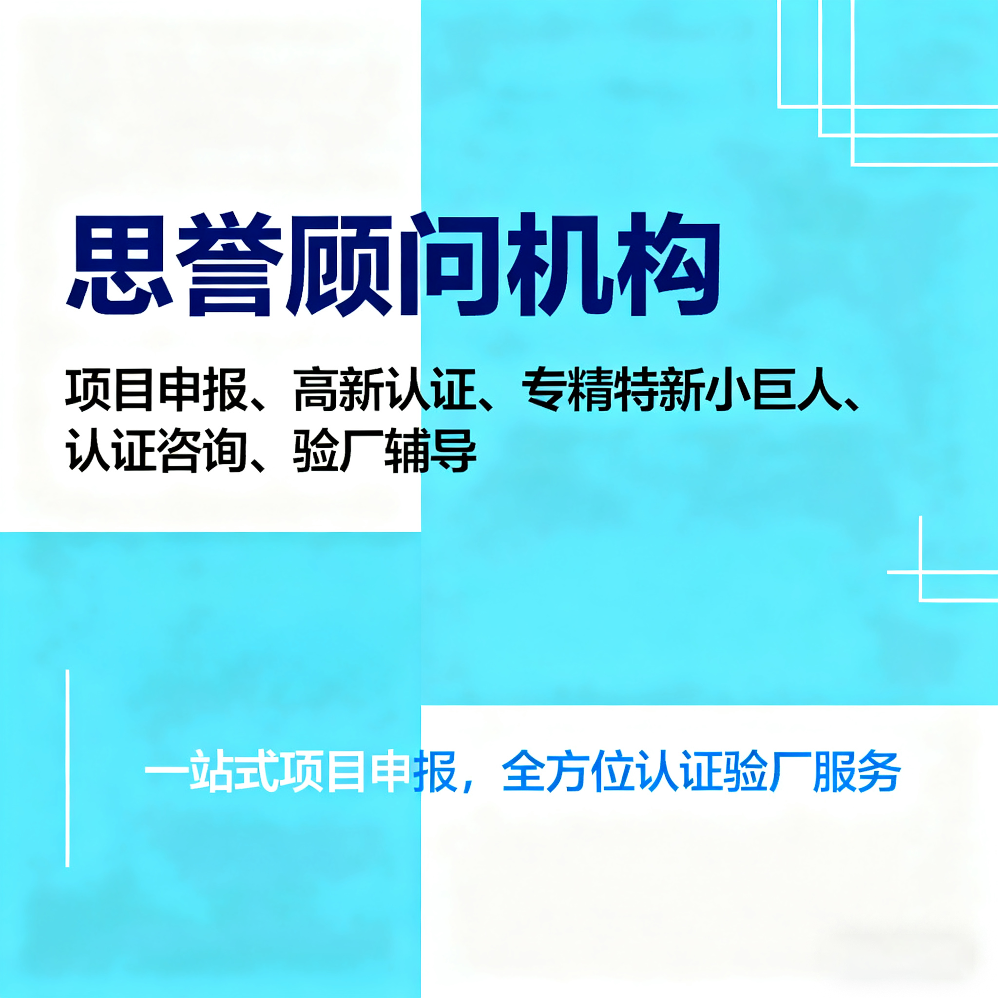 思誉顾问服务场景
