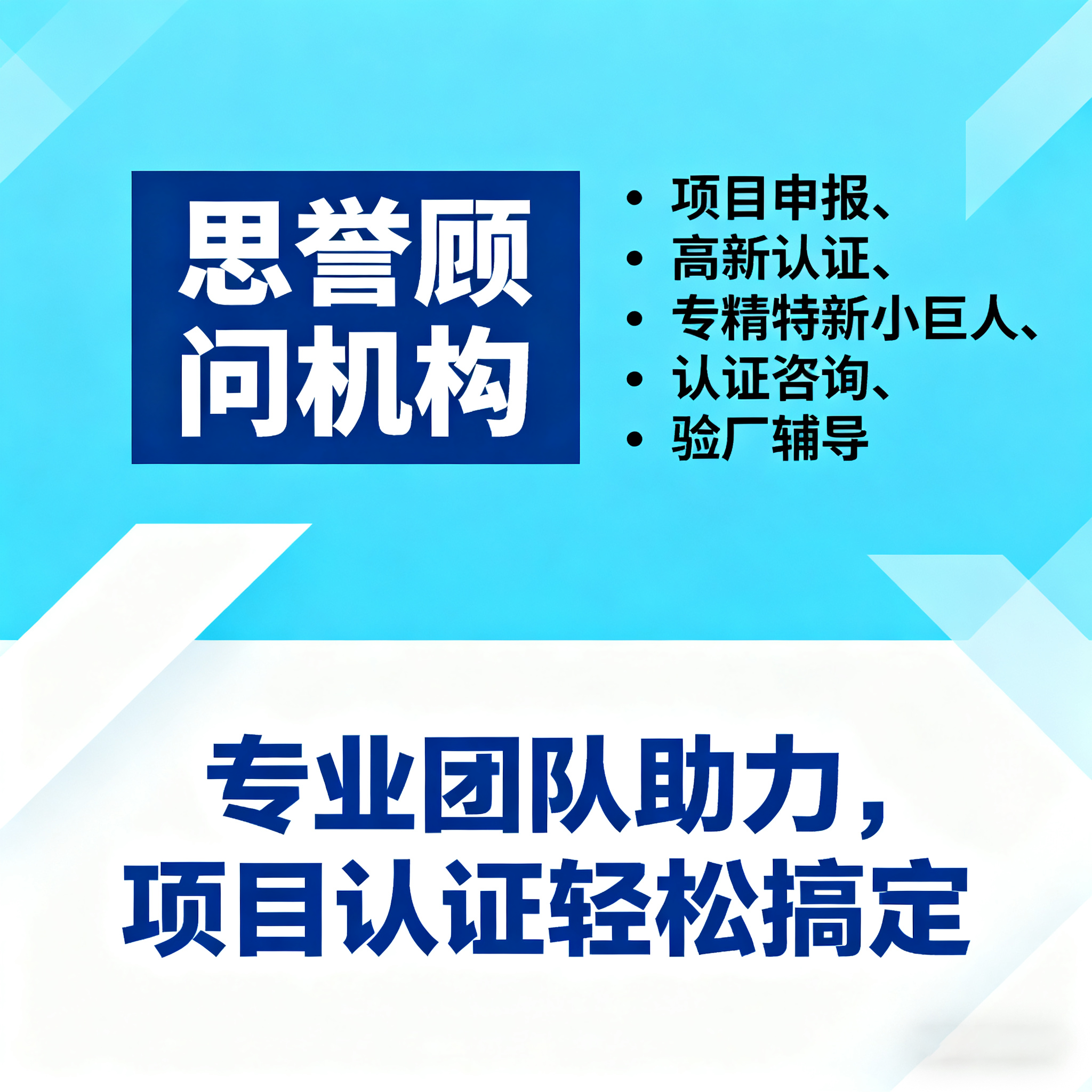 思誉顾问服务场景图