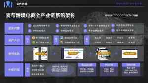 北京跨境电商解决方案优质厂家深度解析：FaceBook跨境的数字化赋能之路