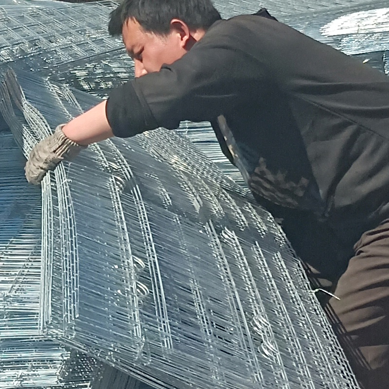河北马尚笼具养殖设备有限公司鸽笼产品图