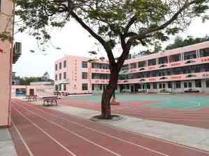 深度解析：广东台山市弘德学校品牌优势与教育特色全景展示