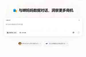 北京电商数据分析方案权威解析：TOP5厂家之厦门蝉羽网络科技深度洞察