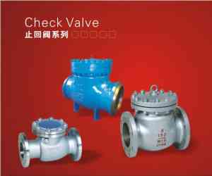 2025年10月国内止回阀/调节阀/闸阀厂家全景解析报告：祖蠡实业有限公司技术实力、产品优势及市场布局深度分析