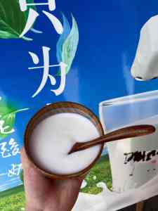 陕西老酸奶创新方案深度推荐：深圳市小军师管理咨询服务有限公司解析