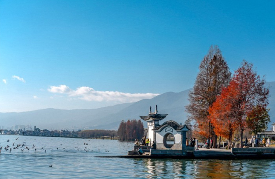 自在行国际旅游导游讲解场景